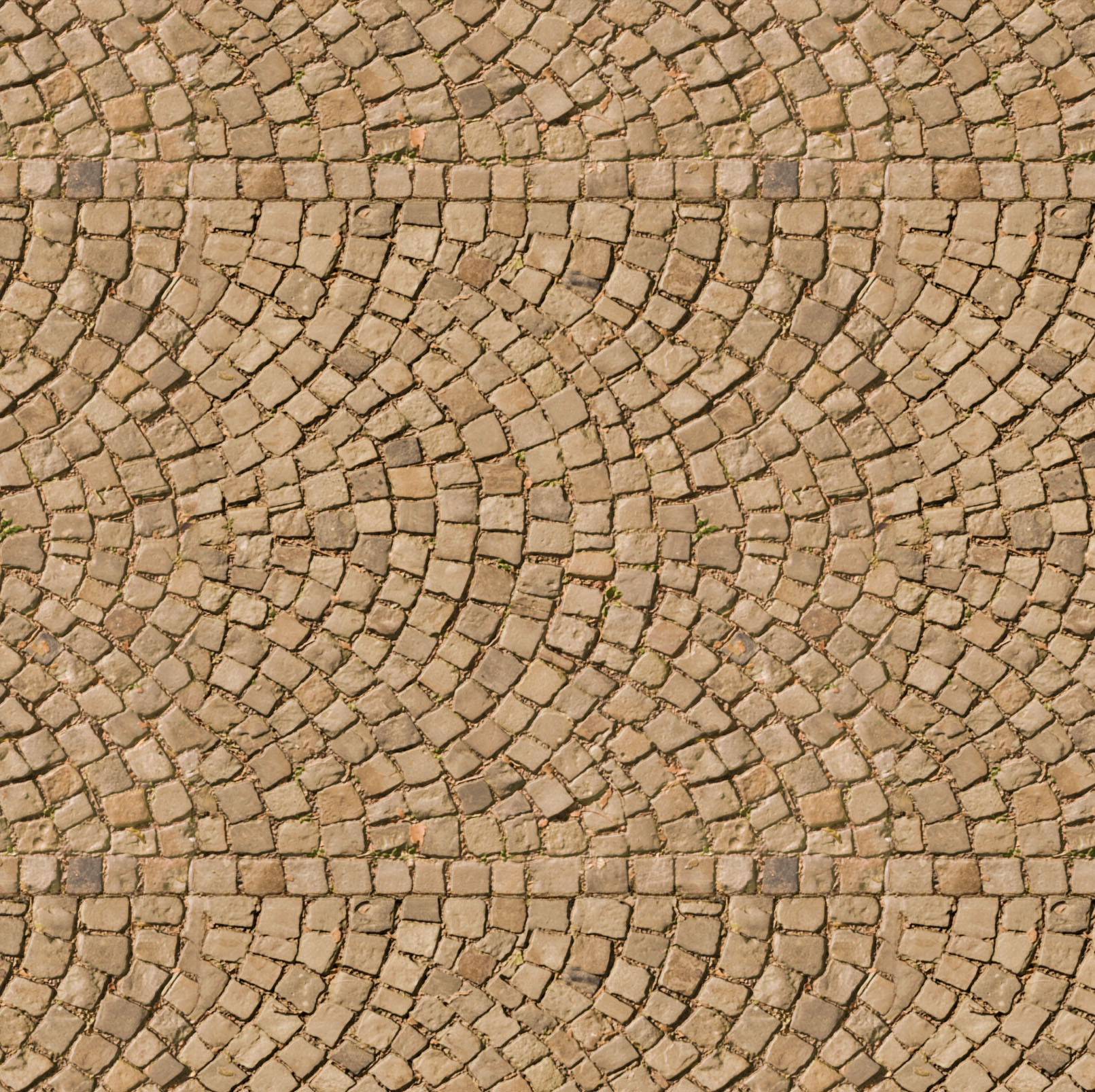 Texture with lighting flattened for seamless tiling.